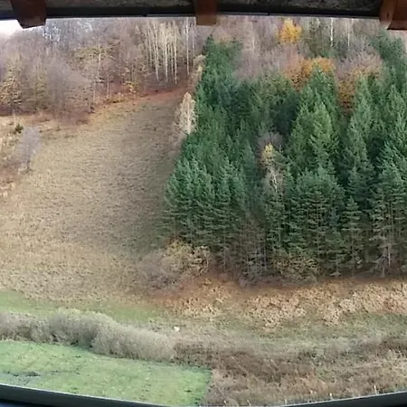 Nebrigic Apartament *