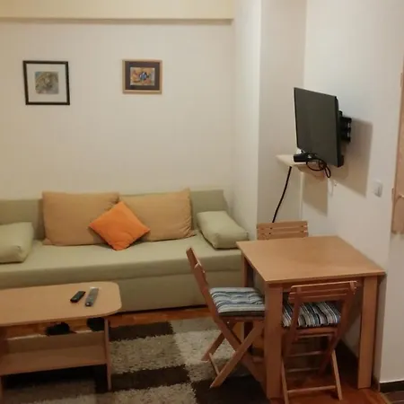 Nebrigic Apartament *