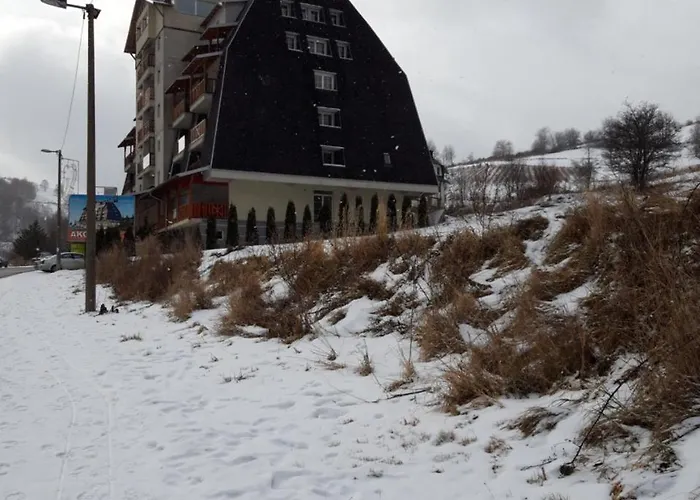 Apartman Nebrigic Brzece