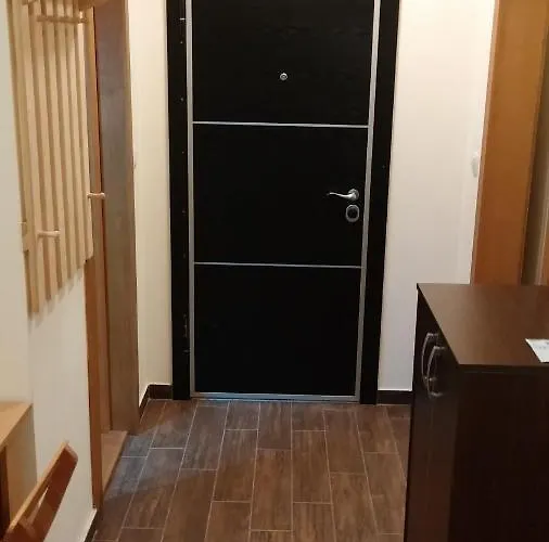 Apartman Nebrigic Brzece