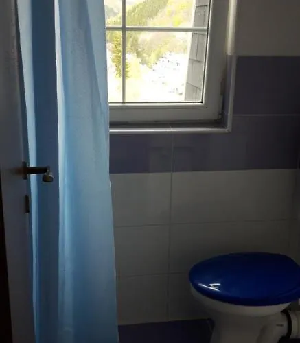 Nebrigic Apartman Brzece